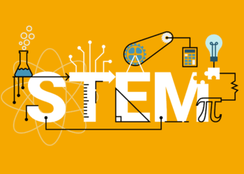 stem eğitiminde rehber öğretmenin rolü ve önemi