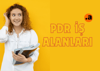 PDR Mezunları Çalışma İş Alanları 2025 Güncel Veriler