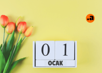 1 Ocak 2025 Ek Ders Ücreti Ödenir mi atalayhocapdr.com