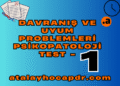 Davranış ve Uyum Problemleri Psikopatoloji Test 1 - PDR ÖABT atalayhocapdr.com