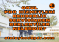 Okul PDR Hizmetleri ve Rehberlik Servisinden Beklentiler Nelerdir atalayhocapdr.com